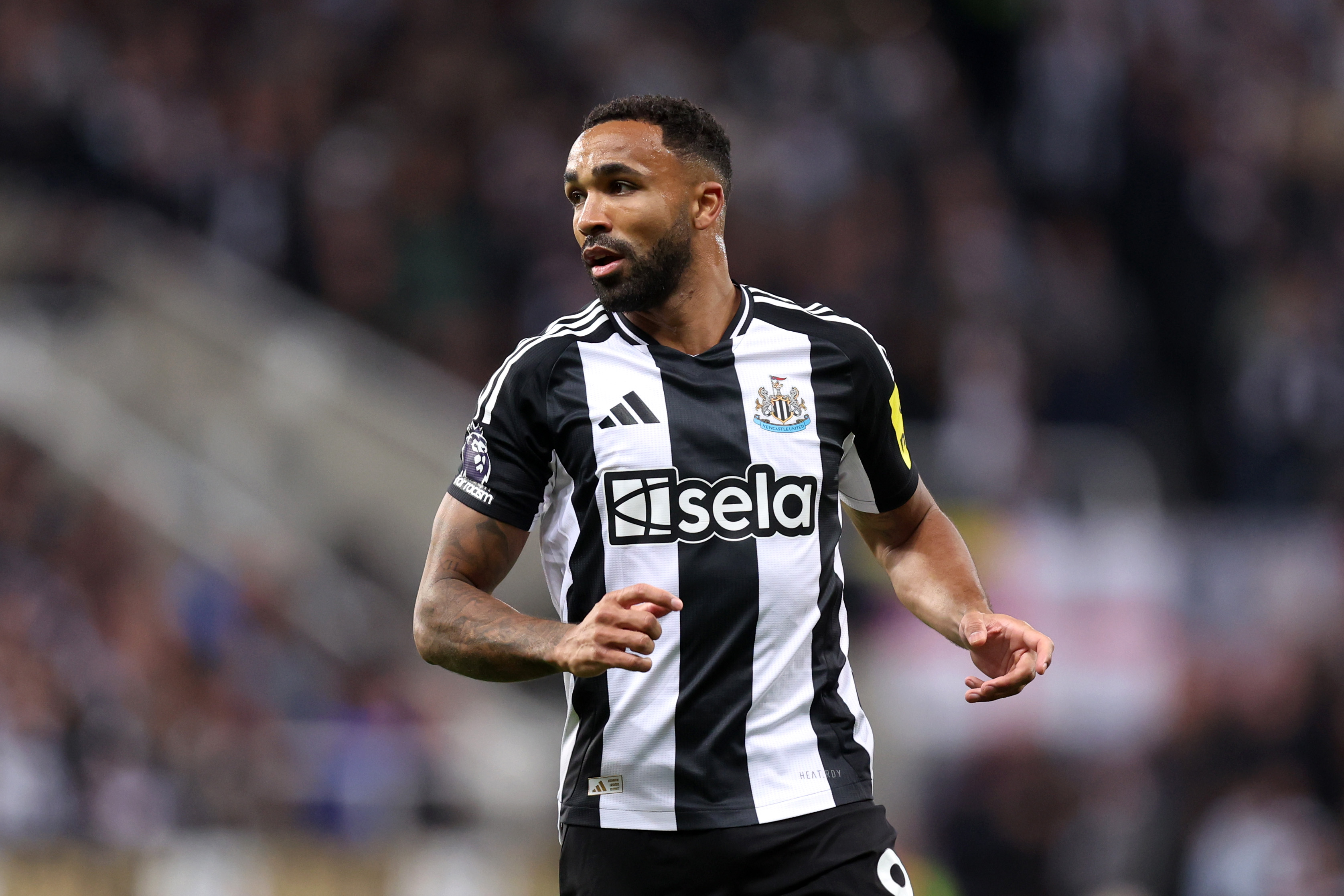 Callum Wilson of Newcastle United